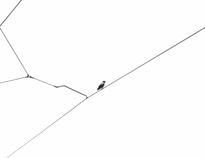“Wired Solitude” By Sivan Swisa