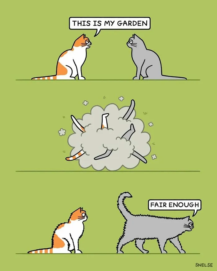 23 Delightfully Funny Cat Comics By Steve Nelson To Make Your Day Better