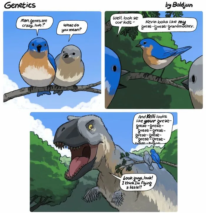 Dark Humor Meets Fantasy And Pop Culture In These 68 Comics By Boldjun