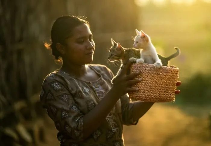 23 Street Cat Photos That Might Melt Your Heart By Guru Charan (New Pics)
