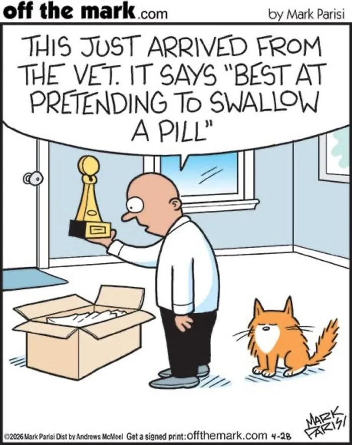 36 New Comics That Capture The Odd Little Habits Every Cat Owner Knows