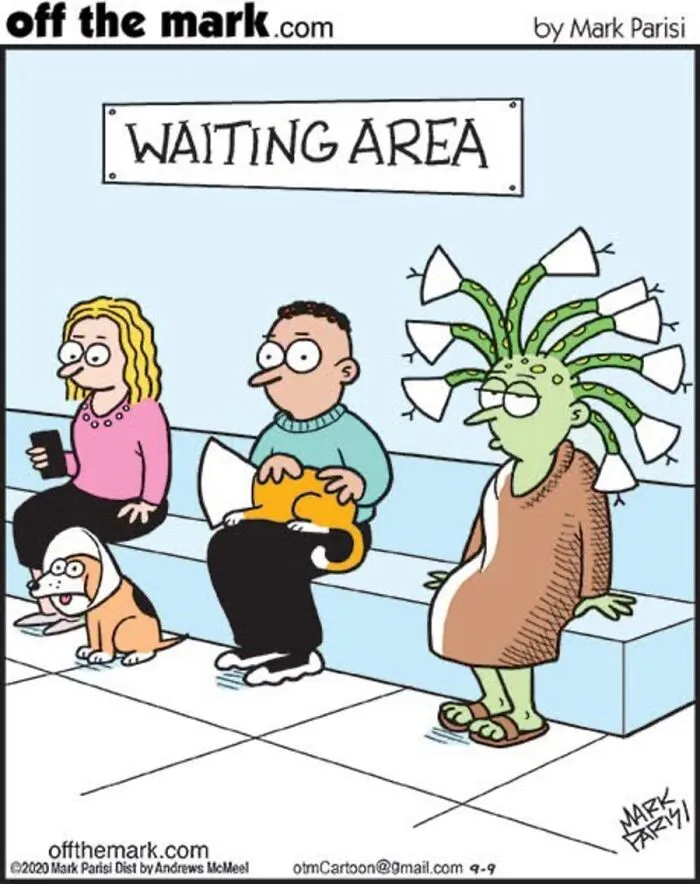 36 New Comics That Capture The Odd Little Habits Every Cat Owner Knows