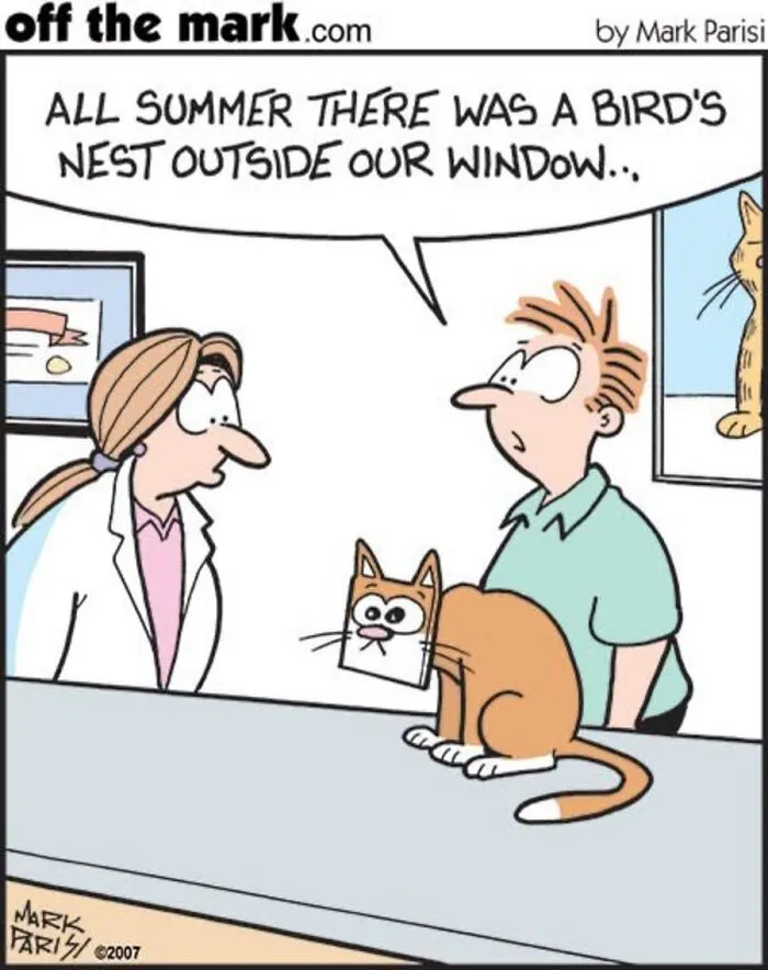 36 New Comics That Capture The Odd Little Habits Every Cat Owner Knows