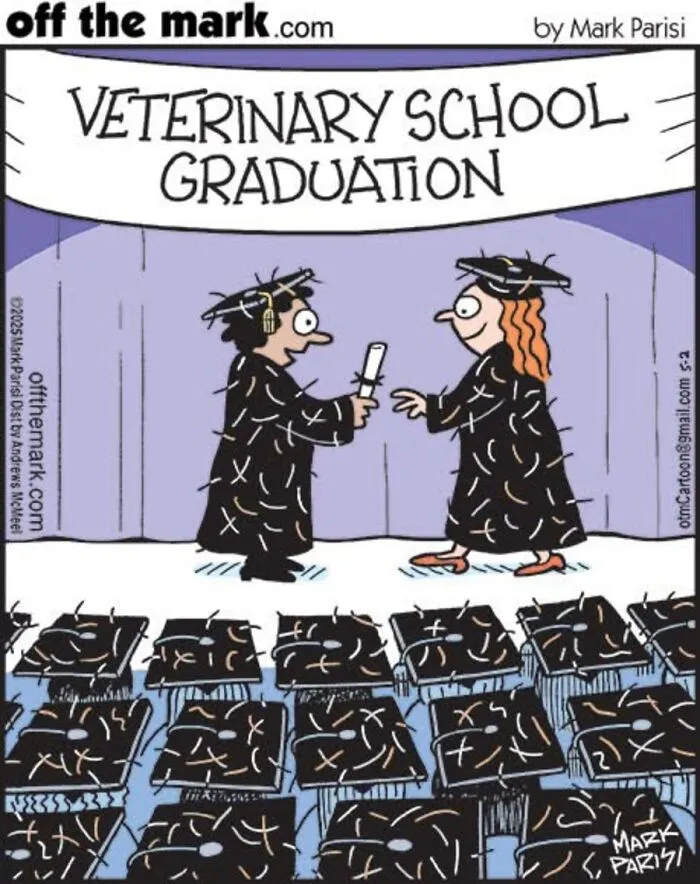 36 New Comics That Capture The Odd Little Habits Every Cat Owner Knows