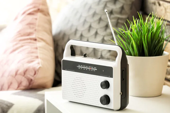 A white and black portable radio on a table next to a green plant, a sign from the universe.