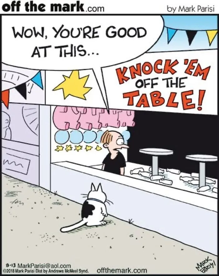 36 New Comics That Capture The Odd Little Habits Every Cat Owner Knows
