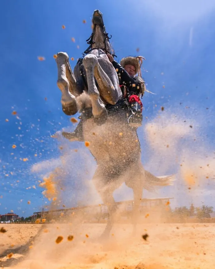 Murat Bakmaz captures the beauty of everyday life: A rider on a horse rearing up, kicking up dust under a clear blue sky.