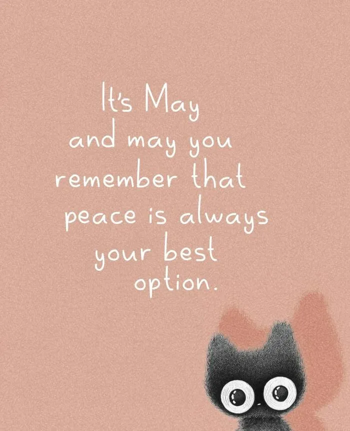 Adorable illustrations of cat behavior, a black cat with wide eyes and a May quote about peace.