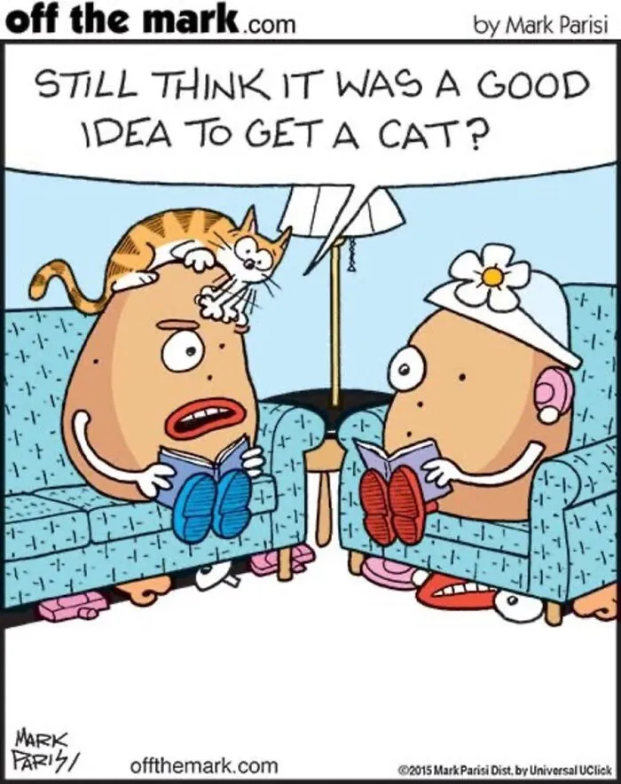 36 New Comics That Capture The Odd Little Habits Every Cat Owner Knows