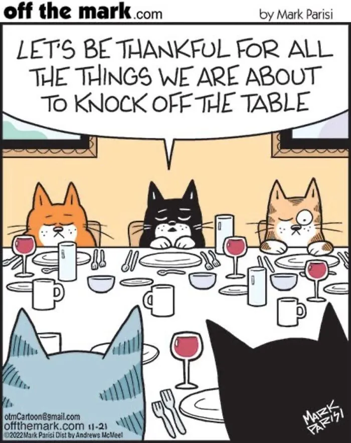 36 New Comics That Capture The Odd Little Habits Every Cat Owner Knows