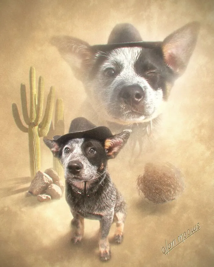 These Artists’ 49 Pet Portraits Capture Each Animal’s Personality In Peak ’80s Style