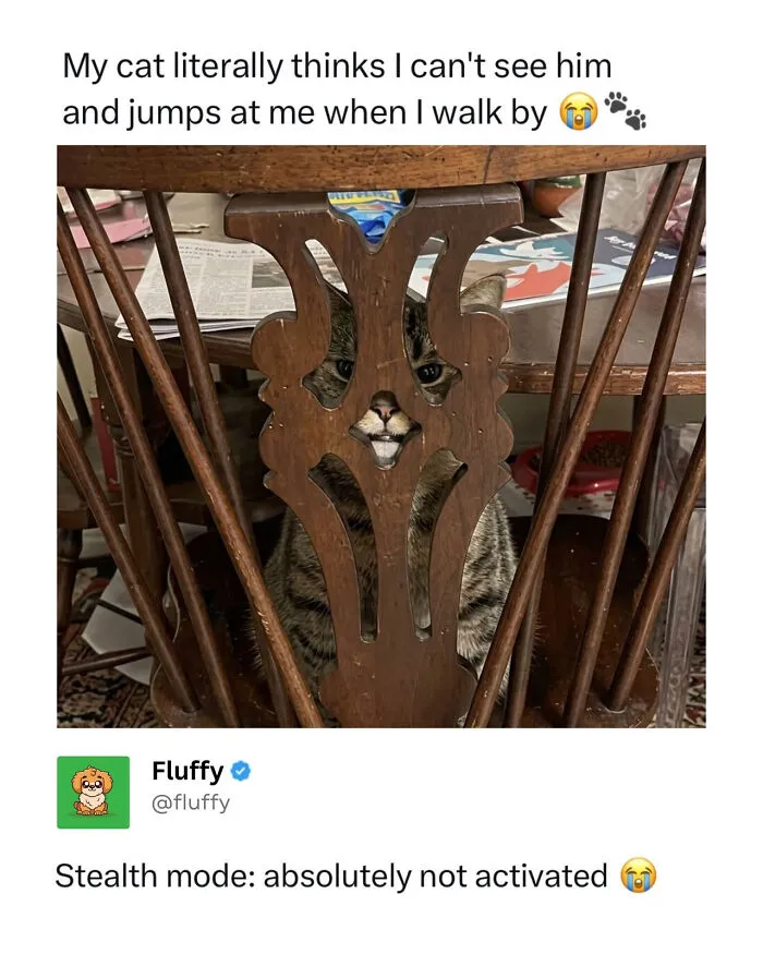 A striped tabby cat peeking through the backrest of a wooden chair with a mischievous expression, a funny animal meme.