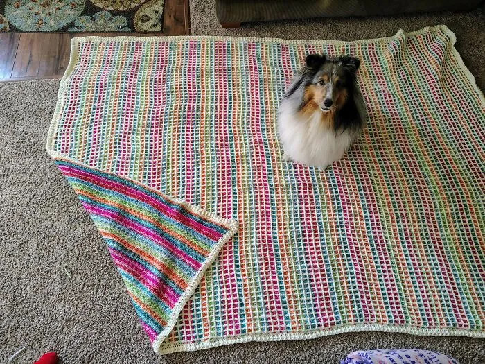 Colorful crochet blanket with dog sitting on top showcasing creative crochet project