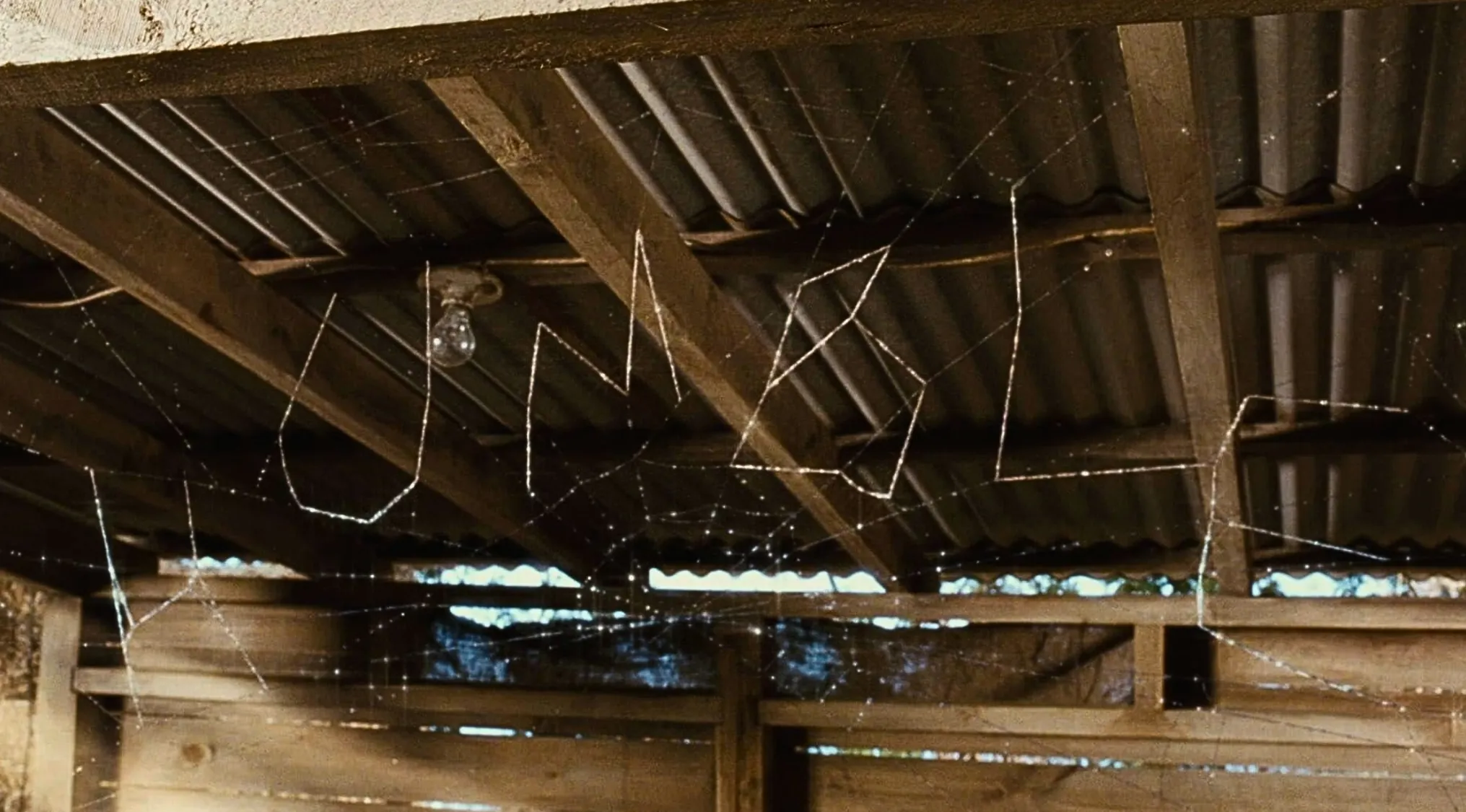 General knowledge for kids: The word 'SOME PIG' spelled out in a spiderweb, referencing Charlotte's Web by E. B. White.