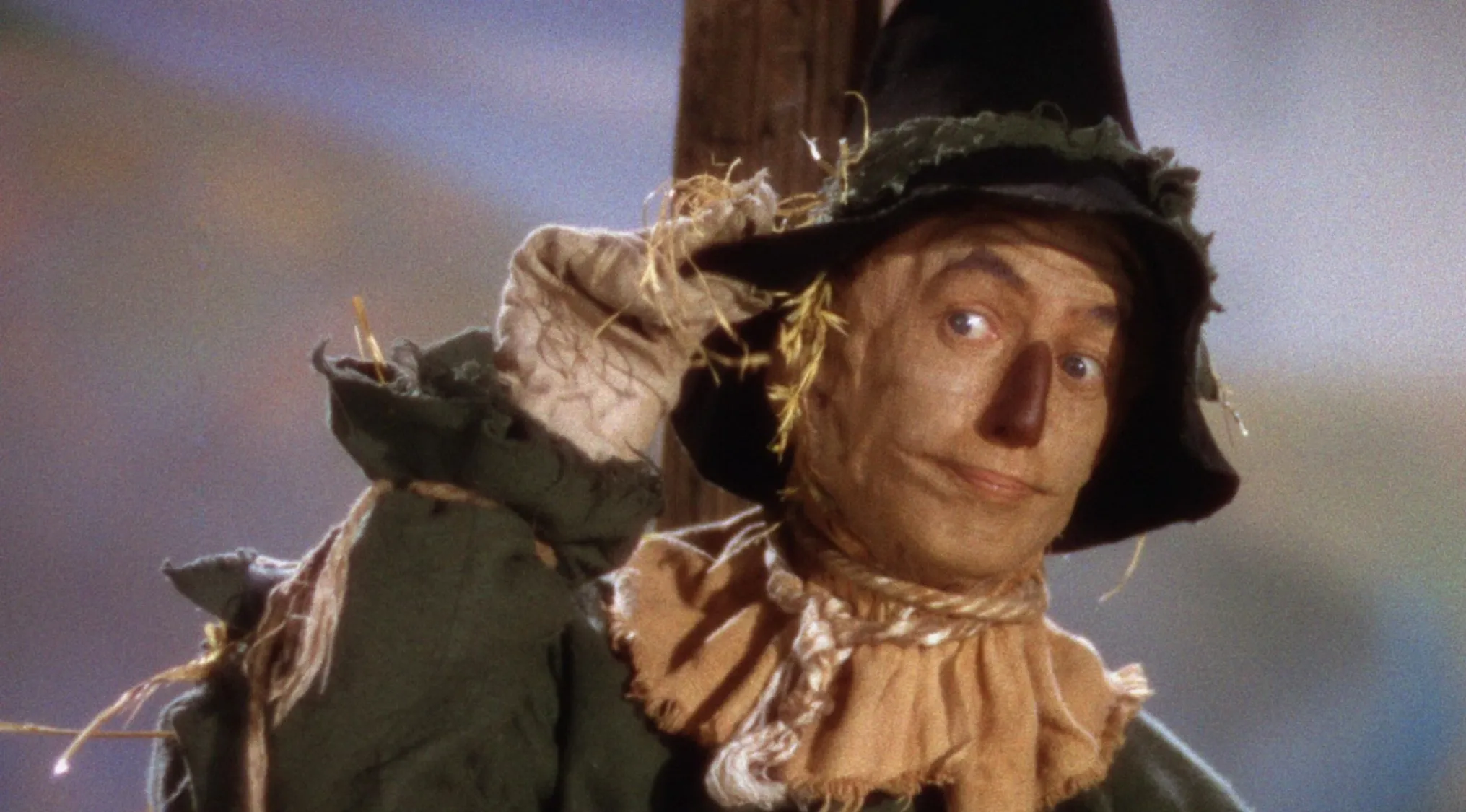 The Scarecrow from The Wizard of Oz, wearing a hat and straw, looking curious for general knowledge for kids.