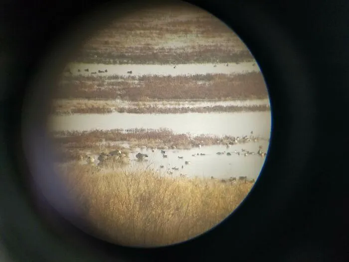 Vista Of Jupiter