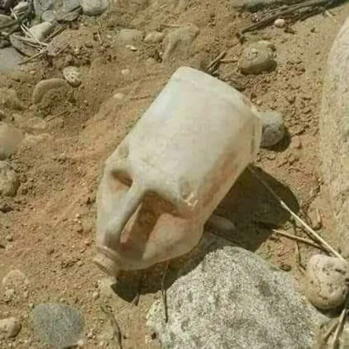 The Head Of Great Pharaoh Cleopatra