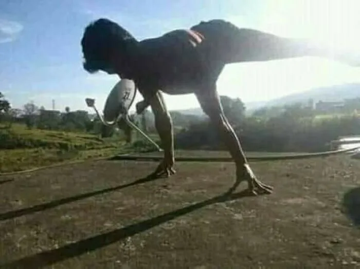 For 5 Seconds, I Thought It Was A T-Rex
