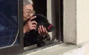 79 Photos That Prove Context Changes Absolutely Everything
