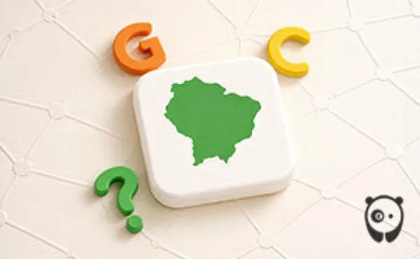 Daily Guess The Country Game #082 (Aug 06, 2026)