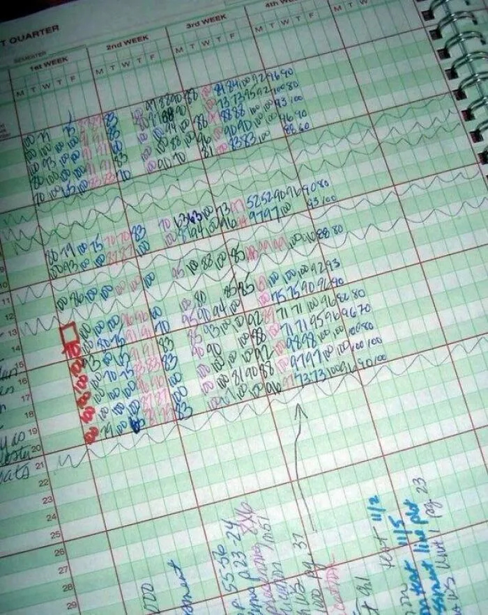 The Teacher's Grade Book