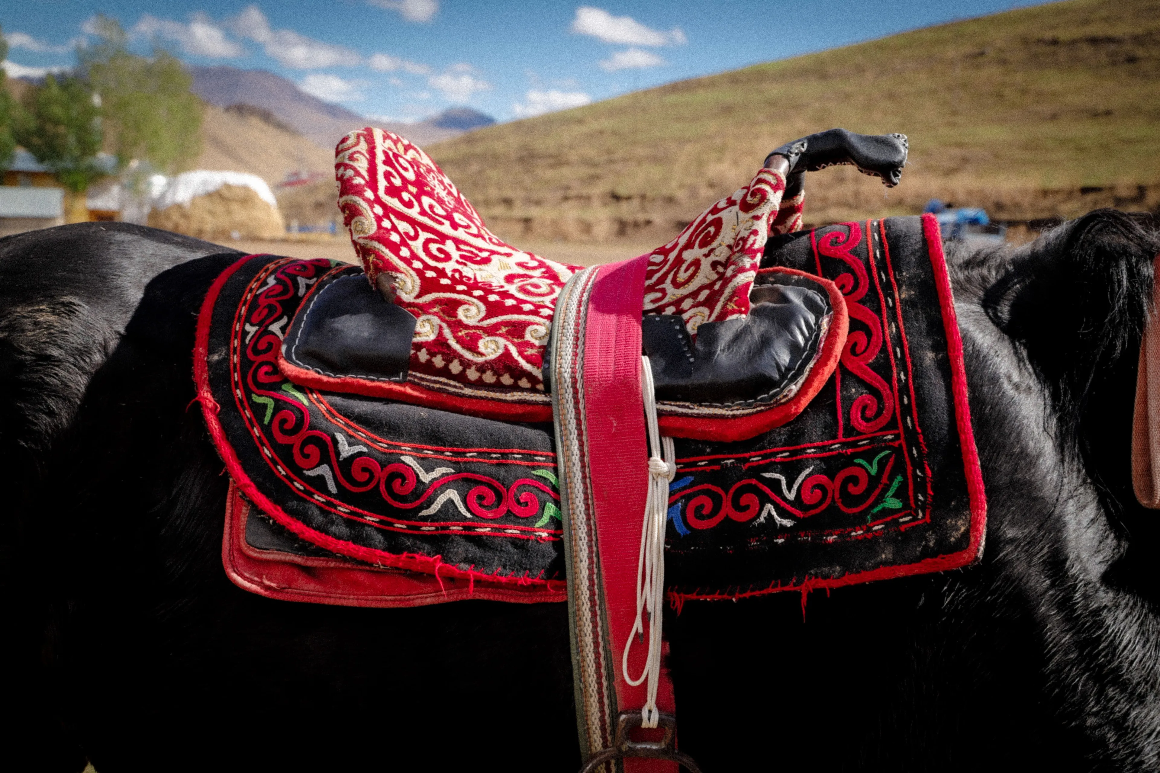 A black horse wears an ornate saddle, red and black with white and gold embroidery. A Japanese Cube Personality quiz.