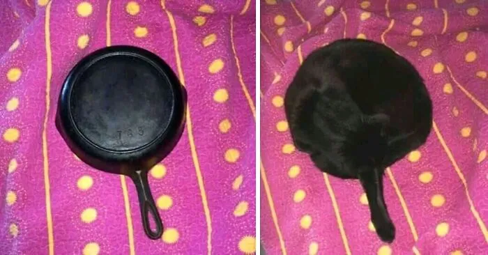 My Pan Left A Burn Mark On The Sheet