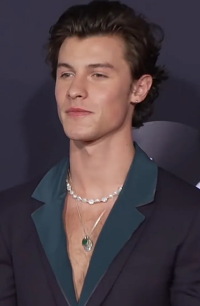 Canadian Singer-Songwriter and Guitarist Shawn Mendes, 28