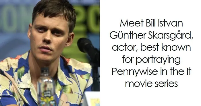 Bill Skarsgård: Bio And Career Highlights