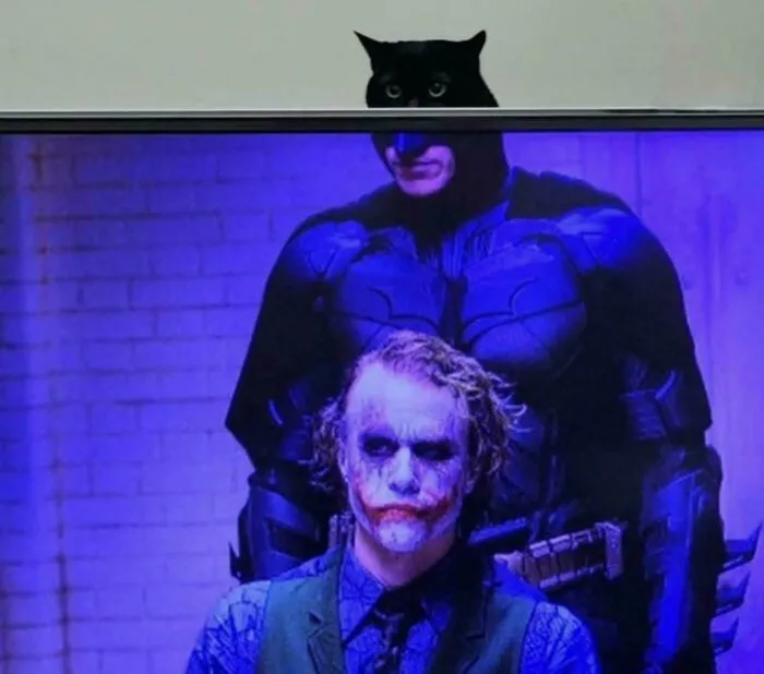 89 “Hmmm” Images That Nobody Asked For, But Everyone Needed