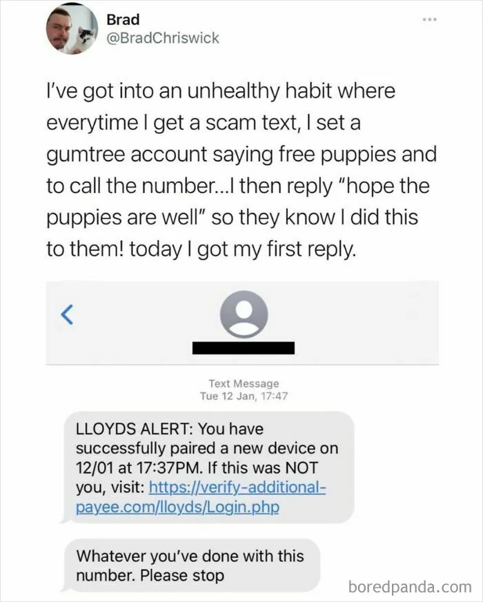 For When You Don't Have The Time To Scambait For Yourself