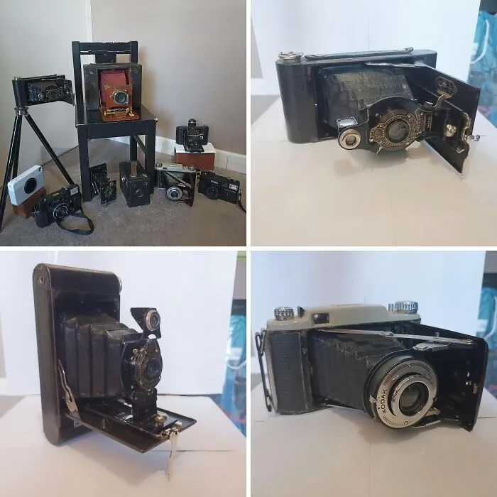 What Do You Think Of My Little Collection