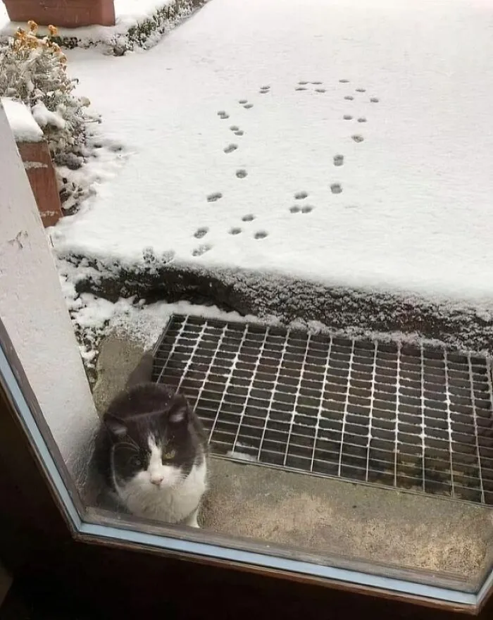 89 “Hmmm” Images That Nobody Asked For, But Everyone Needed