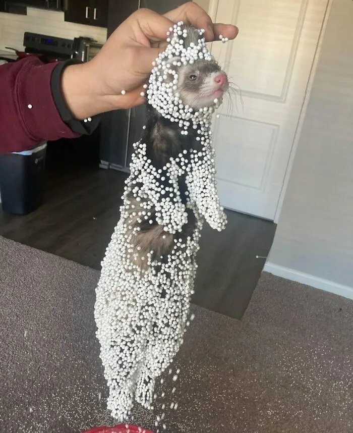 89 “Hmmm” Images That Nobody Asked For, But Everyone Needed
