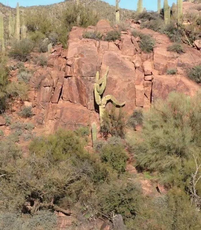 89 “Hmmm” Images That Nobody Asked For, But Everyone Needed