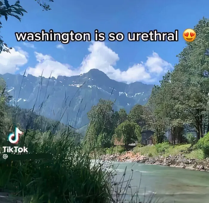 Washington Is So Urethral 😍