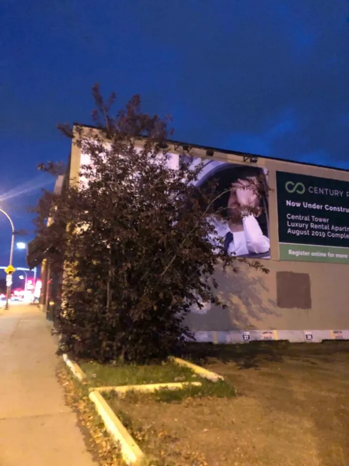 A billboard ad with a person's head obscured by a tree, showcasing interesting and hilarious ad placement.