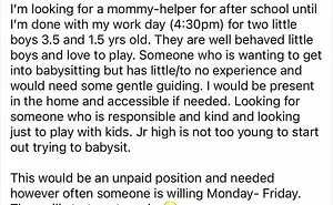 80 Wild Babysitting Posts That Prove Some Parents Have Completely Lost Perspective