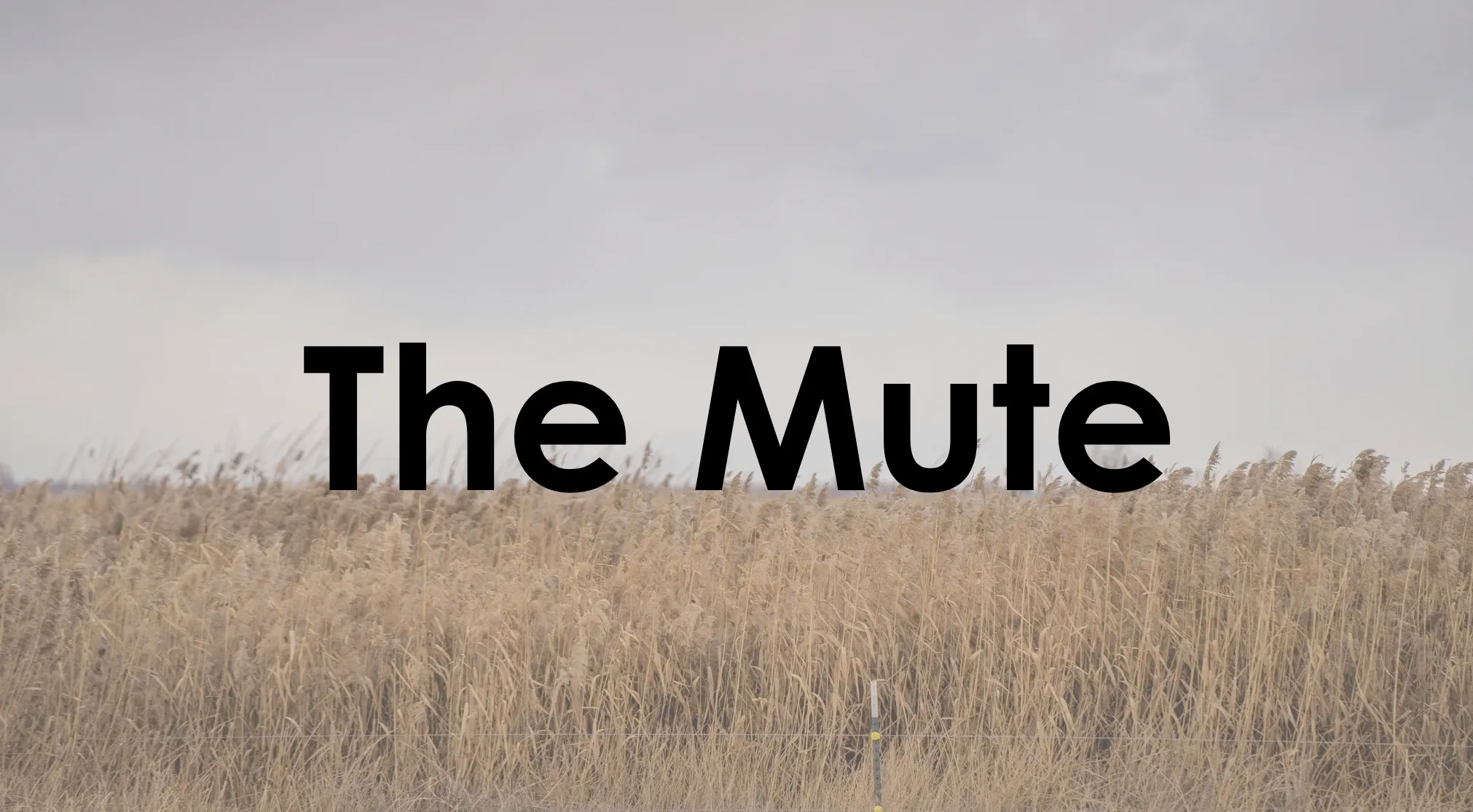 Text The Mute over a field of dry grass. Guess The Book From The Original Title by identifying the novel.