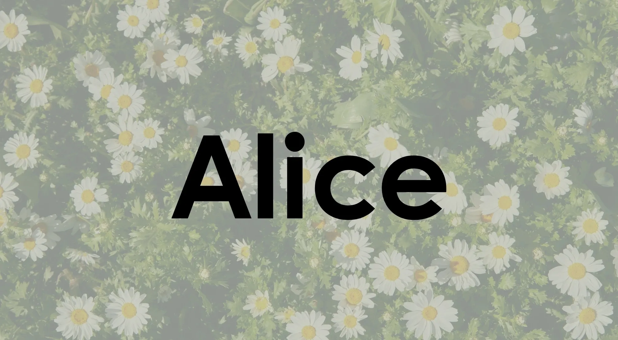 Black text spelling ALICE over a background of white daisies and green leaves. Guess the book.