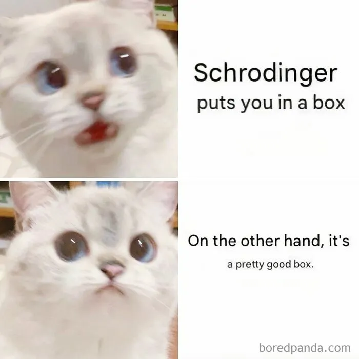 82 Funny And Cringey Science Memes That Crack 764K People Up Every Day (New Pics)