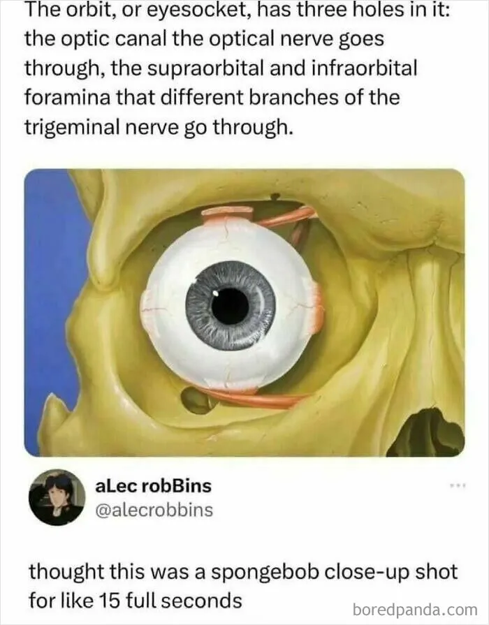 82 Funny And Cringey Science Memes That Crack 764K People Up Every Day (New Pics)