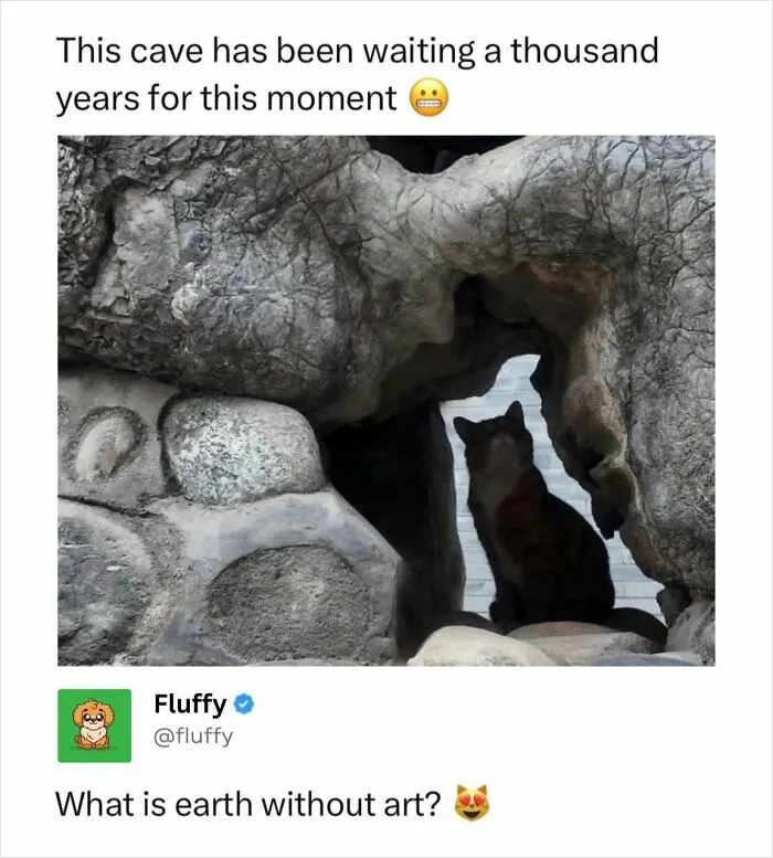 72 Heartwarming Animal Memes To Help You Escape The Doom-And-Gloom