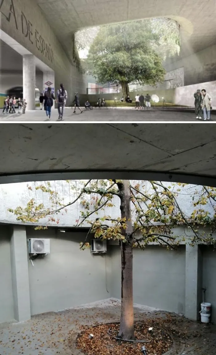 Architects vision vs reality: A tree in an underground space, from lush render to sparse reality with visible AC units.