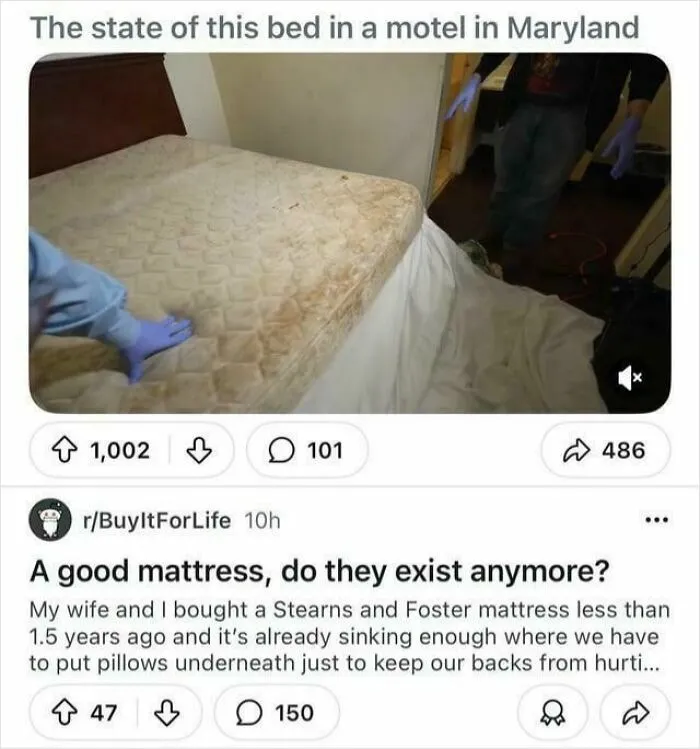 A dirty motel bed and a discussion about mattress quality, an interesting and hilarious ad placement juxtaposition.