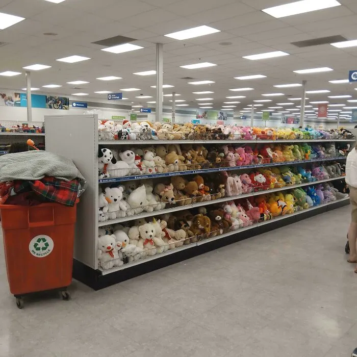 Rows of colorful stuffed animals on shelves in a brightly lit thrift store, a potential jackpot for shoppers.