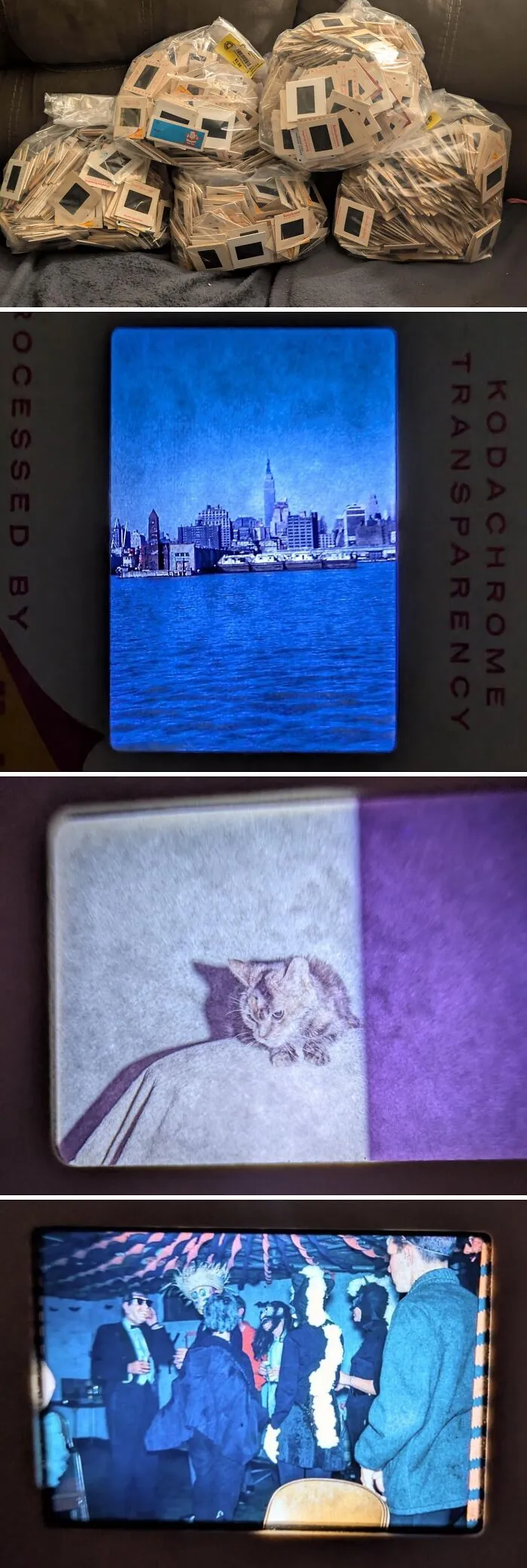 Various images from old slides, including a cityscape, a cat, and a party, a jackpot discovery from a thrift store.