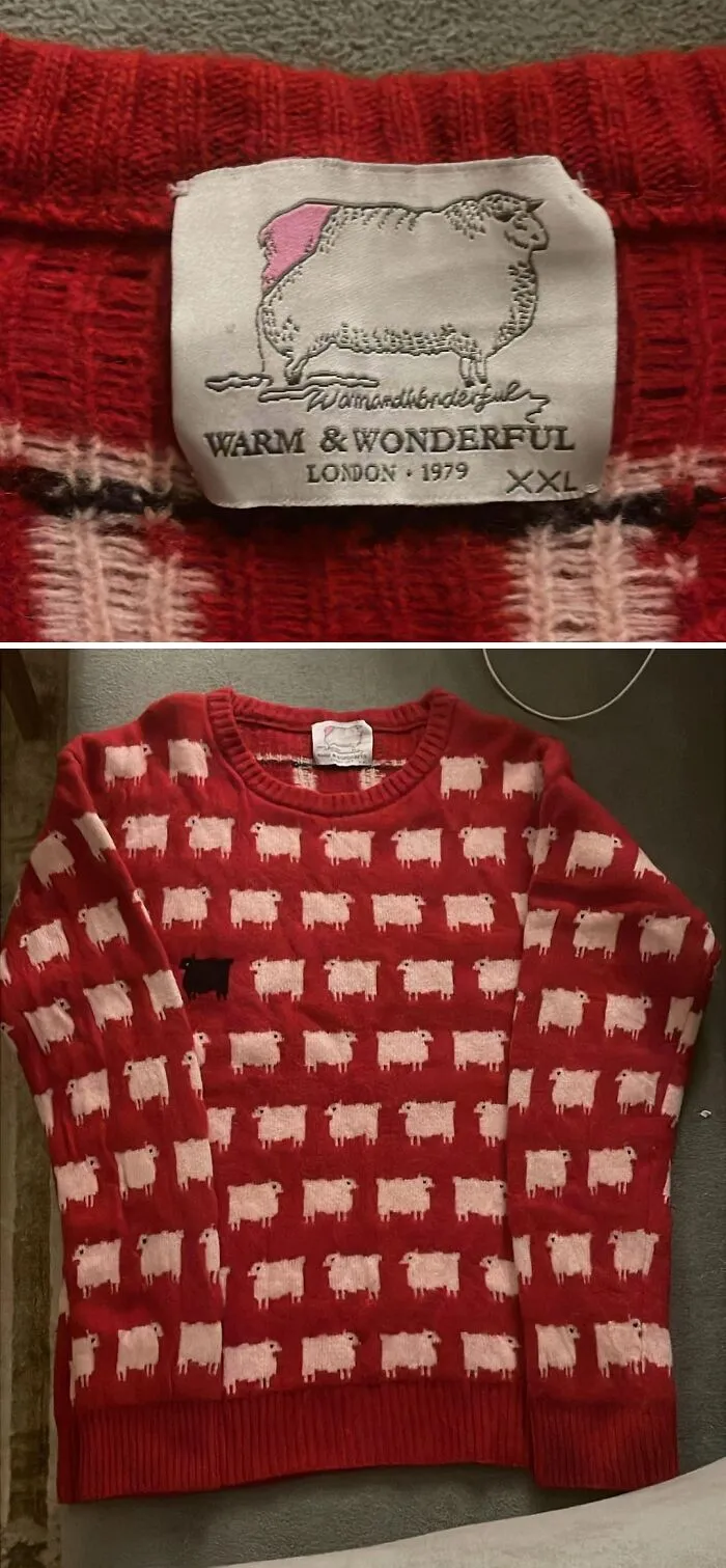A close-up of a Warm & Wonderful sheep sweater label and the full sweater, a jackpot item from a thrift store.
