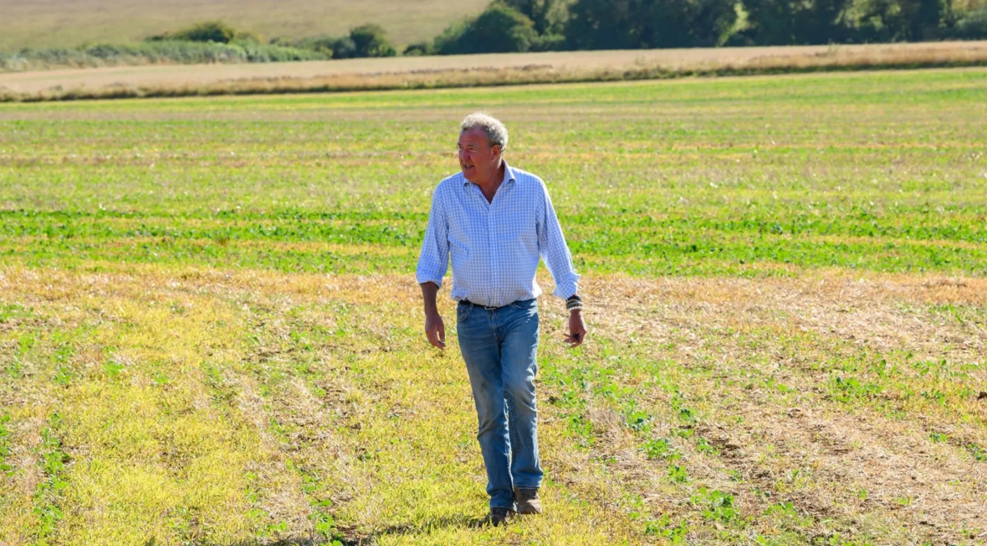 Jeremy Clarkson, star of reality TV show Clarksons Farm, walks through a green field on a sunny day.
