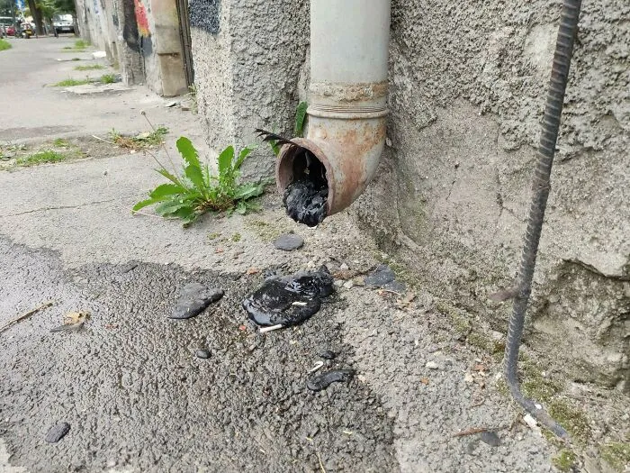The Recent Heatwave Melted The Tar From The Roof And It Came Down The Rain Gutter